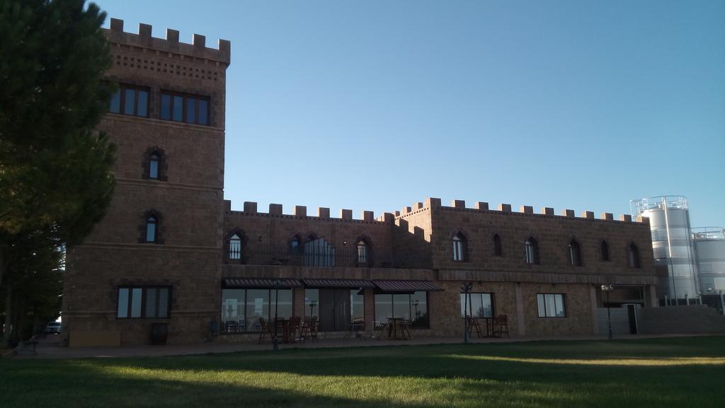 Hotel Vinedos Y Bodegas El Castillo Villarrobledo Exteriér fotografie